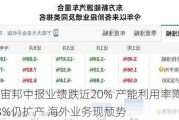 新宙邦中报业绩跌近20% 产能利用率降至63%仍扩产 海外业务现颓势