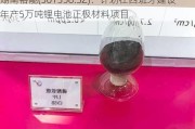 湖南裕能(301358.SZ)：***在西班牙建设年产5万吨锂电池正极材料项目