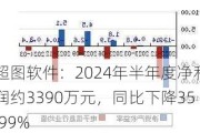 超图软件：2024年半年度净利润约3390万元，同比下降35.99%