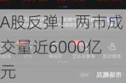 A股反弹！两市成交量近6000亿元