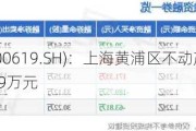 海立股份(600619.SH)：上海黄浦区不动产被征收 补偿款为2989.39万元