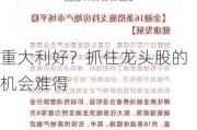 重大利好？抓住龙头股的机会难得