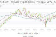 丽岛新材：2024年上半年净利同比预降62.48%-74.99%