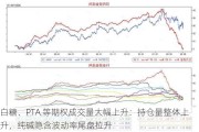 白糖、PTA 等期权成交量大幅上升：持仓量整体上升，纯碱隐含波动率尾盘拉升