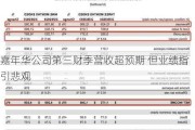 嘉年华公司第三财季营收超预期 但业绩指引悲观