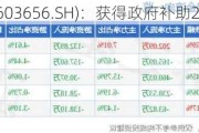 泰禾智能(603656.SH)：获得***补助220.91万元