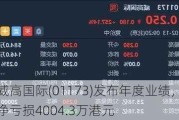 威高国际(01173)发布年度业绩，净亏损4004.3万港元