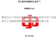 粤电力A:广东电力发展股份有限公司关于向广东省电力工业燃料有限公司增资的关联交易公告