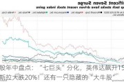 美股年中盘点：“七巨头”分化，英伟达飙升156%，特斯拉大跌20%！还有一只隐藏的“大牛股”