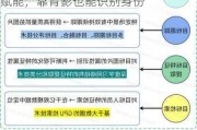 苹果专利探索安全摄像头未来：AI 赋能，靠背影也能识别身份