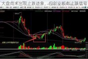 大盘尚未出现止跌迹象，但创业板有止跌信号