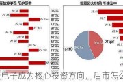 消费电子成为核心投资方向，后市怎么看？