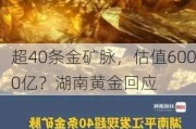 超40条金矿脉，估值6000亿？湖南黄金回应