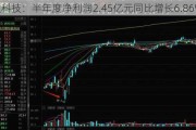 亚太科技：半年度净利润2.45亿元同比增长6.86%