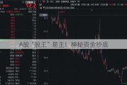 A股“股王”易主！神秘资金抄底