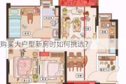 购买大户型新房时如何挑选？