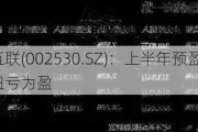 金财互联(002530.SZ)：上半年预盈0-800万元，同比扭亏为盈