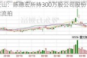 ST天山：陈德宏所持300万股公司股份司法拍卖流拍