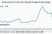 2024年06月13日 猪肉概念概念股排行榜