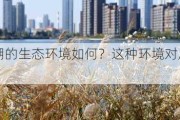 富力津门湖的生态环境如何？这种环境对居民的健康有何影响？