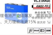 锂电池产业链爆发，鹏辉能源、天力锂能涨逾15%