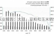 美国农业报告：大豆、豆粕和玉米销售前景分析