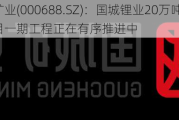 国城矿业(000688.SZ)：国城锂业20万吨/年锂盐项目一期工程正在有序推进中