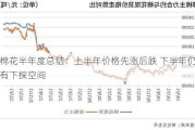 棉花半年度总结：上半年价格先涨后跌 下半年仍有下探空间