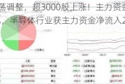 A股震荡调整，超3000股上涨！主力资金流出118.5亿，半导体行业获主力资金净流入21.90亿