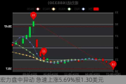 宏力盘中异动 急速上涨5.69%报1.30美元