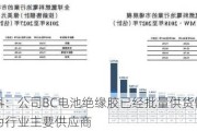 广信材料：公司BC电池绝缘胶已经批量供货快速增长并成为行业主要供应商