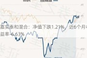 嘉实泰和混合：净值下跌1.21%，近6个月收益率-6.63%