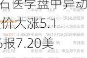 燃石医学盘中异动 股价大涨5.11%报7.20美元