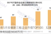 2024年5月安徽新三板企业市值TOP100：32家企业去年净利润超3000万元