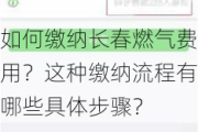 如何缴纳长春燃气费用？这种缴纳流程有哪些具体步骤？