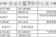 工业富联上半年 现金流量净额同比减少81.9%