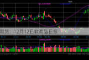 光大期货：12月12日软商品日报