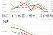 棉花：USDA 报告利空，棉价继续下跌