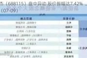 思林杰（688115）盘中异动 股价振幅达7.42%  上涨7.07%（07-09）