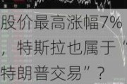 股价最高涨幅7%，特斯拉也属于“特朗普交易”？