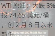 WTI 原油：大跌 3%报 74.65 美元/桶，创 2 月 8 日以来新低