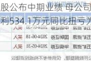 博尼控股公布中期业绩 母公司拥有人应占溢利534.1万元同比扭亏为盈