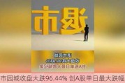 退市园城收盘大跌96.44% 创A股单日最大跌幅纪录