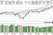 黄金矿业盘中异动 下午盘股价大涨5.00%