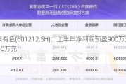 白银有色(601212.SH)：上半年净利润预盈900万元到1350万元