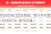 华峰超纤(300180.SZ)发预盈，预计半年度净利润6000万元—7200万元，扭亏为盈