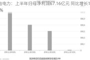 国电电力：上半年归母净利润67.16亿元 同比增长127.35%