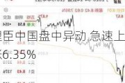 理臣中国盘中异动 急速上涨6.35%