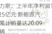 赛力斯：上半年净利润16.25亿元 新能源汽车累计销量达20.09万辆