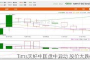 Tims天好中国盘中异动 股价大跌6.53%